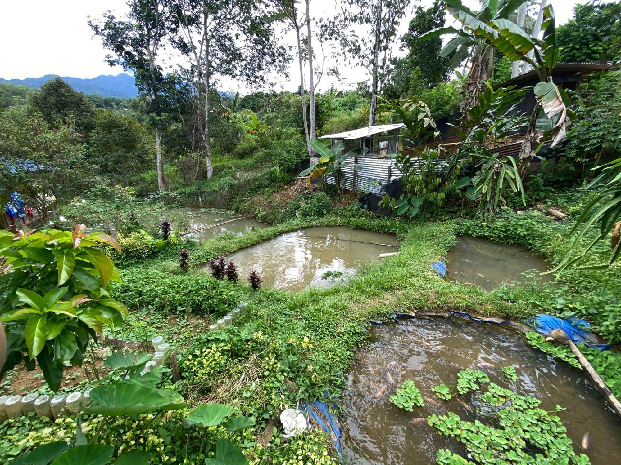 Da Family Mini Garden Hotel ราเนา ภายนอก รูปภาพ