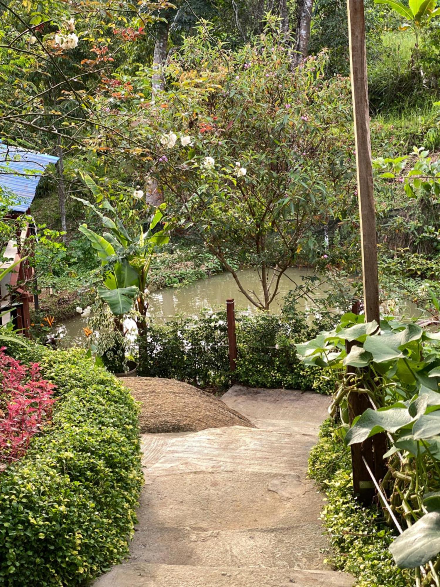 Da Family Mini Garden Hotel ราเนา ภายนอก รูปภาพ